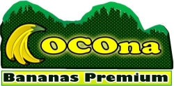 COCONA BANANAS PREMIUM en Teapa (Colonia Centro) - Horario de apertura