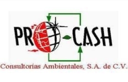 Procash Consultorias Ambientales, S.A de C.V en Matamoros (Fracc. Satélite) - Horario de apertura