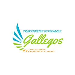 Transpgallegos en Ciudad de México (Santa Martha) - Horario de apertura