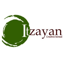 Itzayan Bonsai en Puebla (Los Volcanes) - Horario de apertura