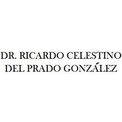 Dr. Ricardo Celestino Del Prado Gonzalez en Tehuacán (Centro De La Ciudad) - Horario de apertura