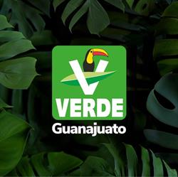 Horario de apertura Partido Verde Ecologista de México, León de los Aldama