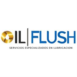 Horario de apertura OIL FLUSH - SERVICIOS ESPECIALIZADOS EN LUBRICACION, Ciudad Delicias