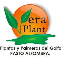 Horario de apertura VeraPlant, Veracruz