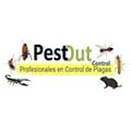 Pest Out Control en Benito Juárez (Paseo Del Sabinal) - Horario de apertura