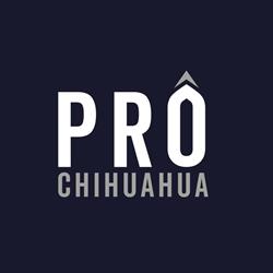 Horario de apertura PROCHIHUAHUA, Chihuahua