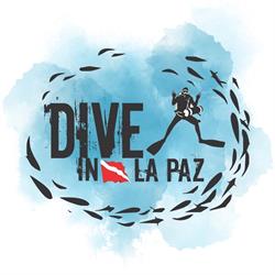 Dive in la Paz, Dive Center en La Paz (Zona Central) - Horario de apertura