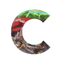 Horario de apertura Tortas Carbonas, Rosarito