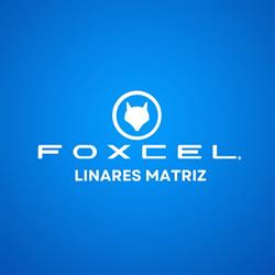 Horario de apertura Foxcel, Linares
