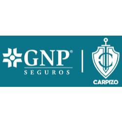 GNP Seguros en León de los Aldama (Panorama) - Horario de apertura