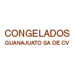 Congelados Guanajuato, S.a. de C.v en León de los Aldama (Hidalgo) - Horario de apertura