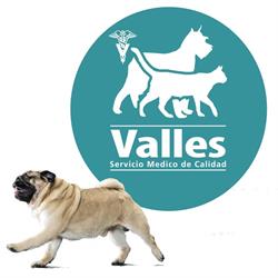Horario de apertura Centro Veterinario Valles, Zapopan