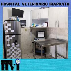 Horario de apertura Hospital Veterinario Irapuato - HVI, 