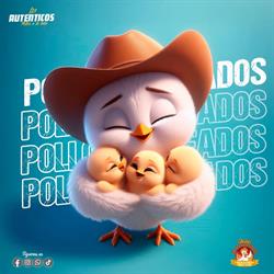 Horario de apertura Pollos Mareados, San Lorenzo Teotipilco