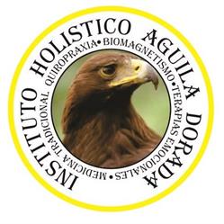Horario de apertura Centro Quiropractico y Quiroinka Oaxaca, Santa Cruz Amilpas