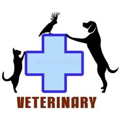 Horario de apertura Veterinaria Cure Pet's, Guadalupe