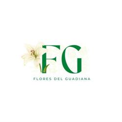 Horario de apertura Flores del Guadiana, Durango