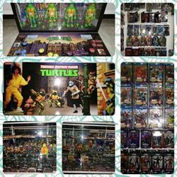 Horario de apertura Wherever Toys Morelia, 