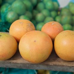 Horario de apertura Fruteria la huerta, Guadalajara
