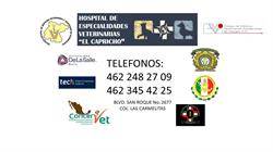 Horario de apertura Hospital de Especialidades Veterinarias El Capricho, Irapuato