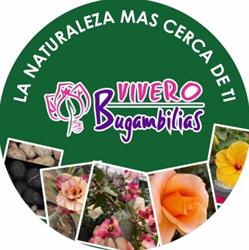 Vivero Bugambilias en Reynosa (Longoria) - Horario de apertura