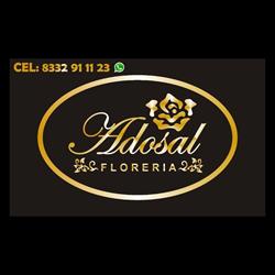 Horario de apertura Floreria Adosal, Tampico