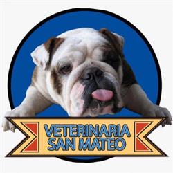 Horario de apertura veterinaria san mateo, Ciudad de México