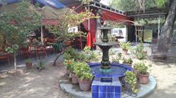 Buffet Jardín en Apodaca (Apodaca Centro) - Horario de apertura