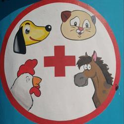 Horario de apertura Veterinaria Vet-Val, Ensenada