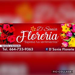 Horario de apertura D Sonia Floreria, Tijuana