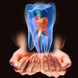 Horario de apertura Soluciones Dentales Mérida, 