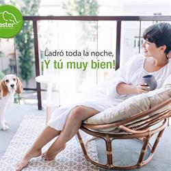 The GRAY Muebles, Económicos. en Tampico (Flamboyanes) - Horario de apertura