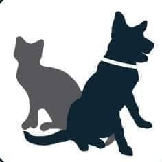 Horario de apertura Veterinaria Mejores Amigos, Amecameca de Juárez