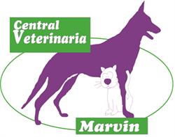 Central Veterinaria Marvin en Zapopan (La Calma) - Horario de apertura