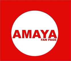 Horario de apertura Amaya Refacciones, Monterrey