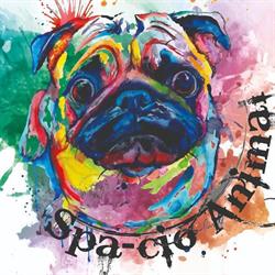 spa-cio animal en Ciudad de México (Cuajimalpa) - Horario de apertura