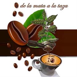 Horario de apertura Café 10 Gourmet - Tlalcoligia, Ciudad de México