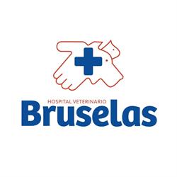 Hospital Veterinario Bruselas en Ciudad de México (Del Carmen) - Horario de apertura