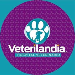 Horario de apertura Veterilandia Hospital Veterinario, Culiacán