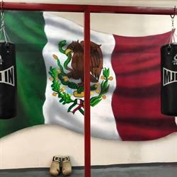 Espartanos Boxeo & Fitness en Tepic (Tepic Centro) - Horario de apertura