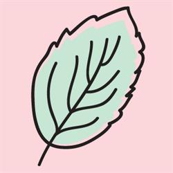 MINT Nail Bar en Ciudad de México (Condesa) - Horario de apertura