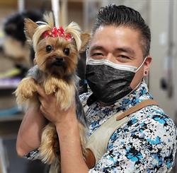 Horario de apertura Spa pet, Ciudad de México