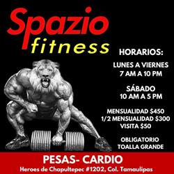 Horario de apertura Spazio Fitness, Tampico