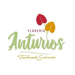 Horario de apertura Florería Anturios, Durango