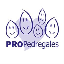 Horario de apertura Pro Pedregales Arquitectura, Ciudad de México