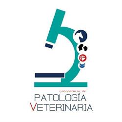 Horario de apertura Laboratorio de Patología Veterinaria, Aguascalientes
