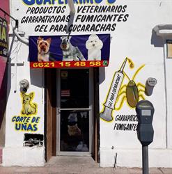 Guaperrimos en Hermosillo (Hermosillo Centro) - Horario de apertura