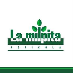 Horario de apertura Agrícola La Milpita S.A de C.V, Atlixco
