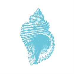 Casa al Mar en La Paz (Zona Central) - Horario de apertura