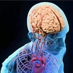Horario de apertura Centro De Diagnostico Santa Fe, Tierra Blanca